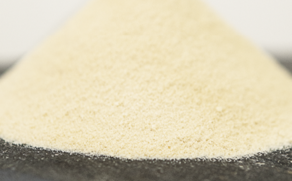 Arbiom debuts new yeast protein ingredient