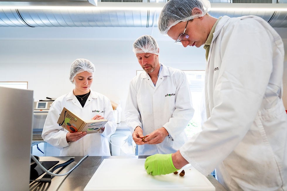 Schouten Europe acquires Bobeldijk Food Group to expand plant-based production capacity