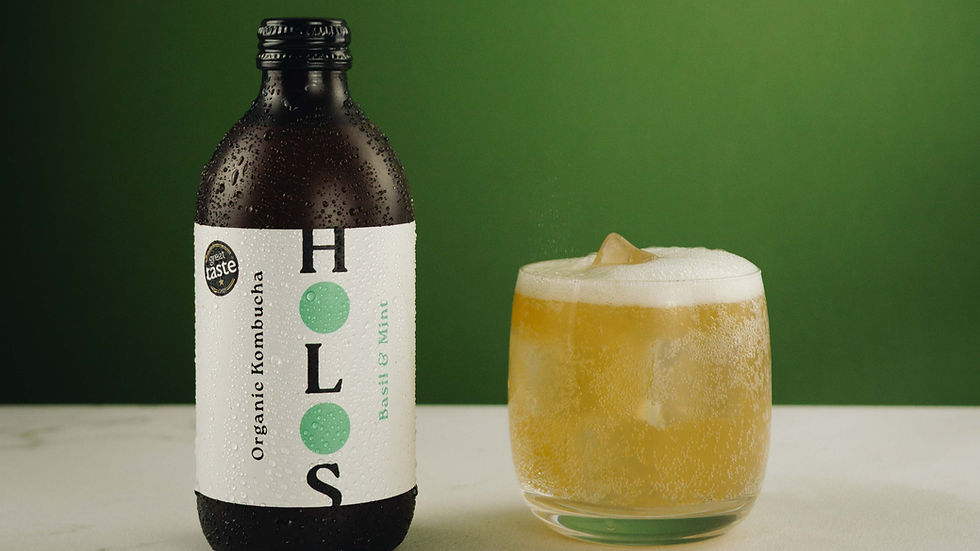 Start up spotlight: Holos Kombucha