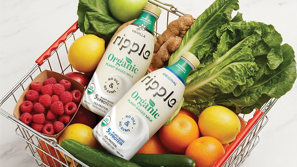 Ripple Foods launches organic plant-based milk with high-protein positioning