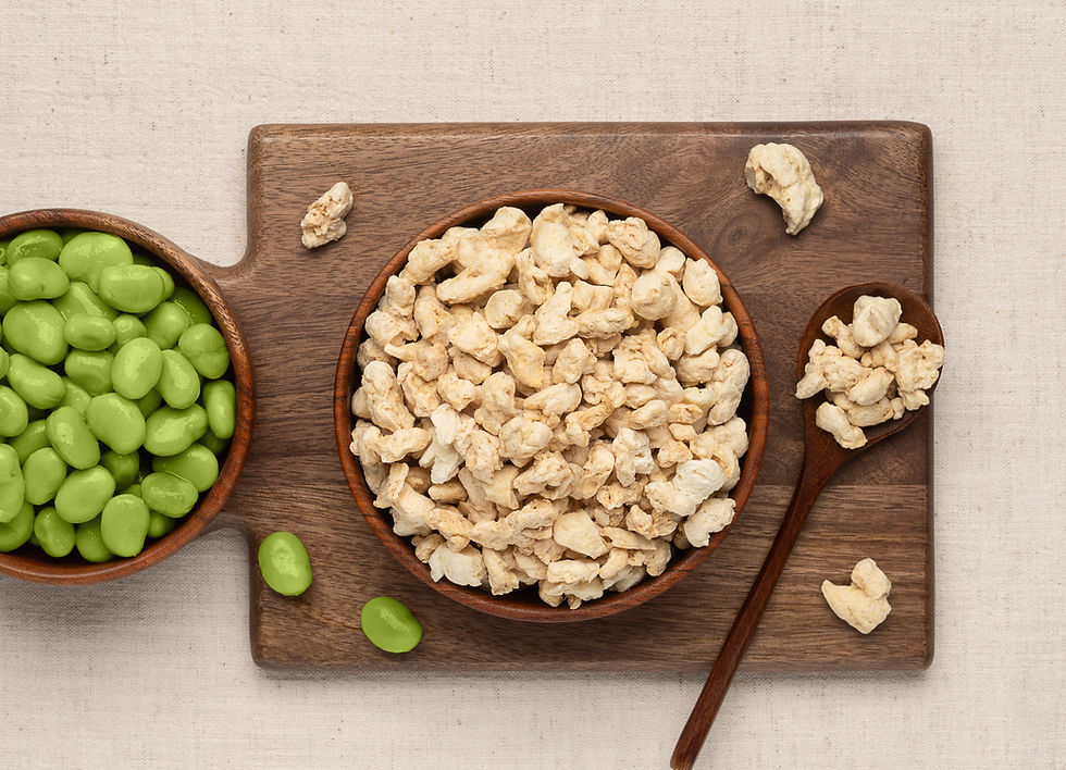 Happy Plant Protein technology heads to Latvia in €6m push for decentralised plant protein production