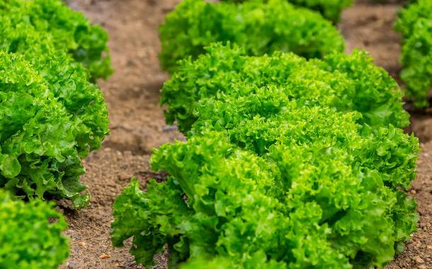Flora Ventures launches $80m fund for agrifood start-ups