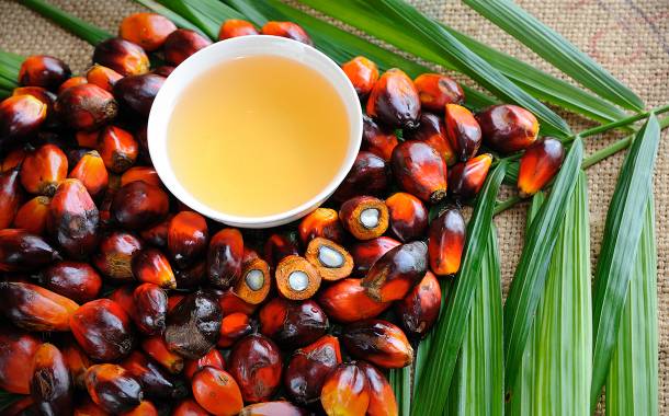 New ingredient could provide sustainable palm oil alternative