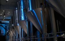 Alternative protein start-up The Protein Brewery secures €22m in funding