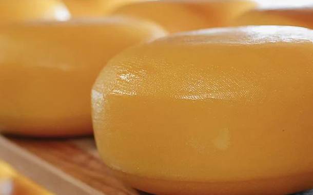 Organic Garage to buy plant-based cheese company