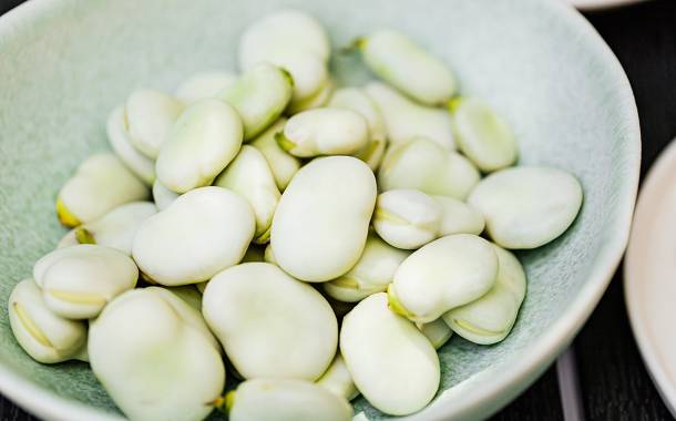 Foodiq develops fermented fava bean ingredient