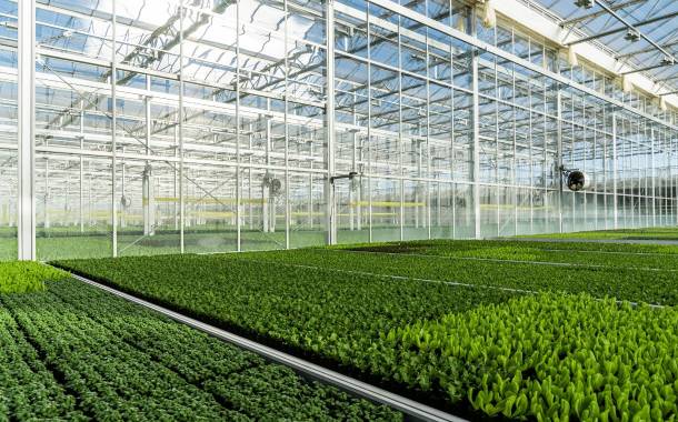 Gotham Greens secures more than $310m in funding