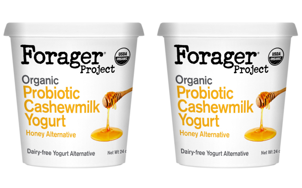 Forager Project unveils honey-flavoured plant-based yogurt