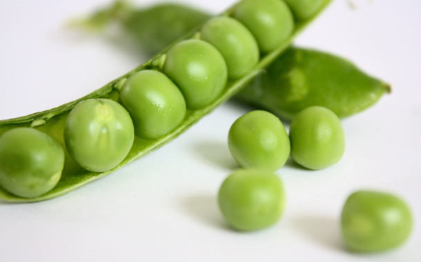 Pea protein project to reduce soya imports