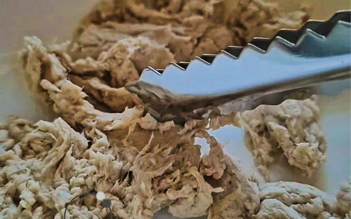 70/30 Food Tech Mycelium-based shredded chicken