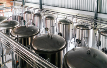 UK government commits £12m to advance fermentation-based food research