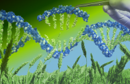 Plant Molecular Farming for Alternative Proteins & Agbio Summit