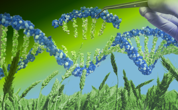 Plant Molecular Farming for Alternative Proteins & Agbio Summit