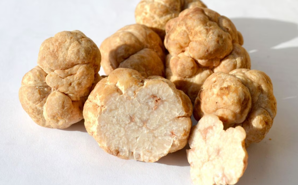 MycoTechnology progresses towards commercialisation of honey truffle sweetener