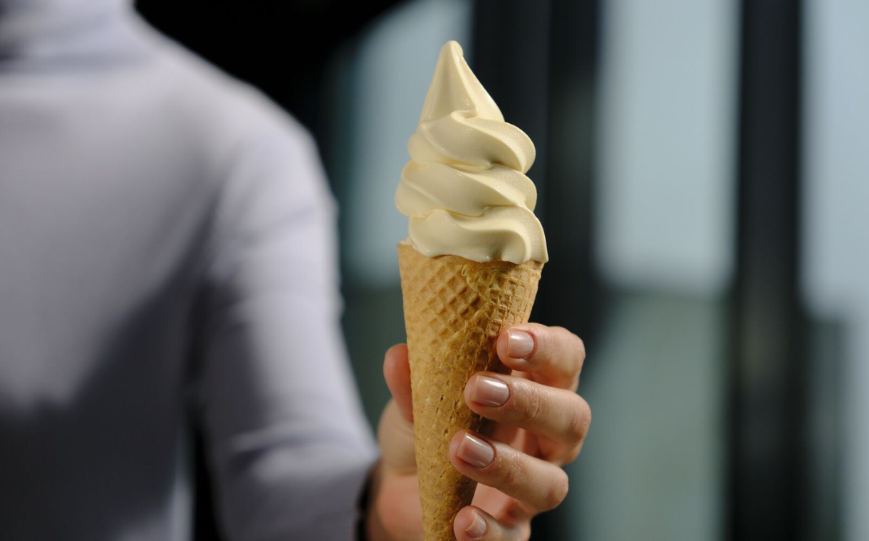 Flora Professional launches versatile plant-based ice cream mix